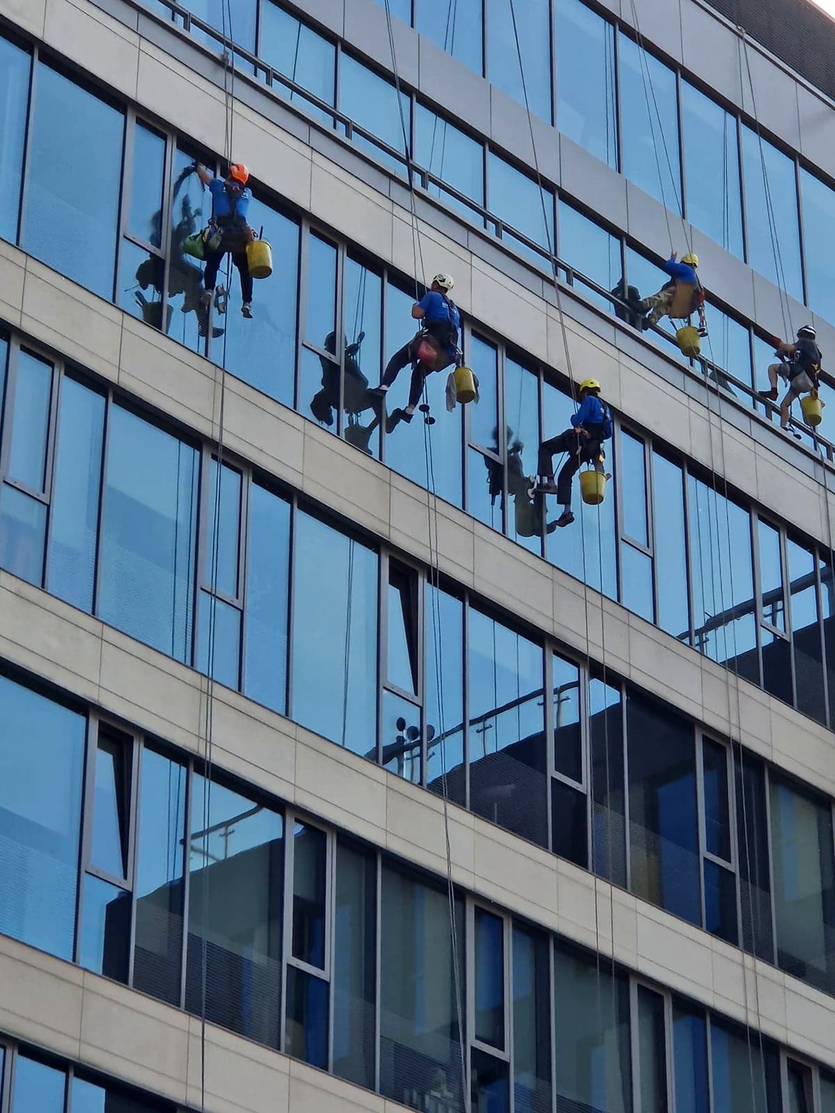 Laveurs de vitres cordistes suspendus devant une façade vitrée