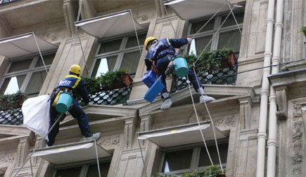 Dévégétalisation façade