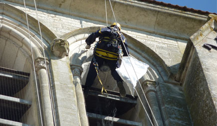 Protection Anti-pigeon